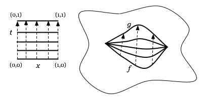 Path Homotopy 